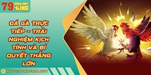 Đá gà trực tiếp