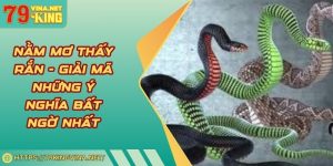 Nằm mơ thấy rắn